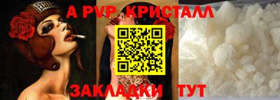 спиды Донской