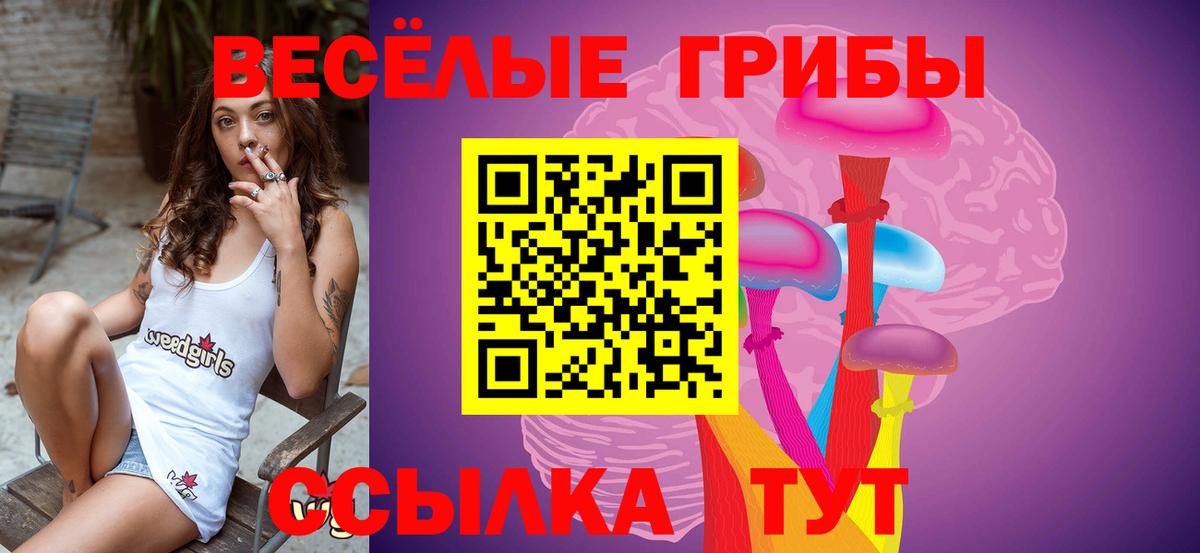 Галлюциногенные грибы мицелий Чебаркуль