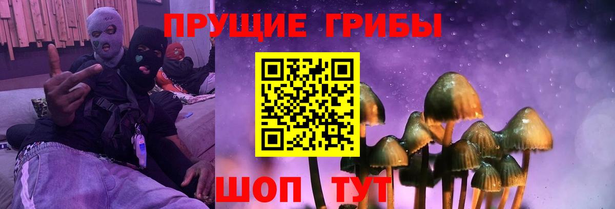 Чебаркуль  Галлюциногенные грибы Cubensis  Галлюциногенные грибы Magic Shrooms  закладка  Вход с VPN 